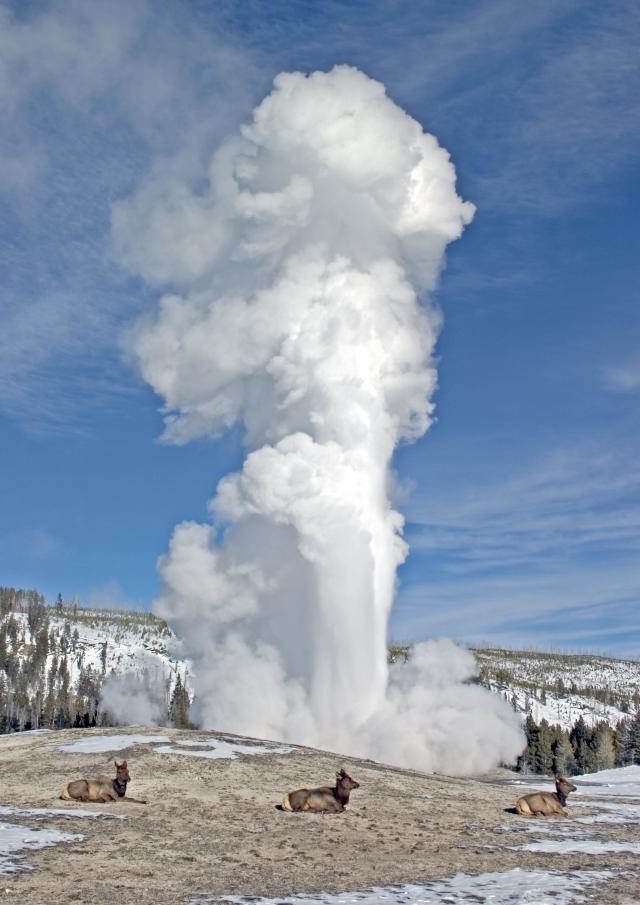 Yellowstone-jpeg.jpg